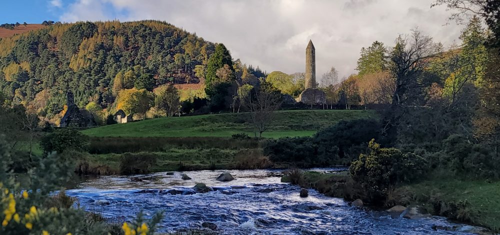 Denise and Shane got on a plane